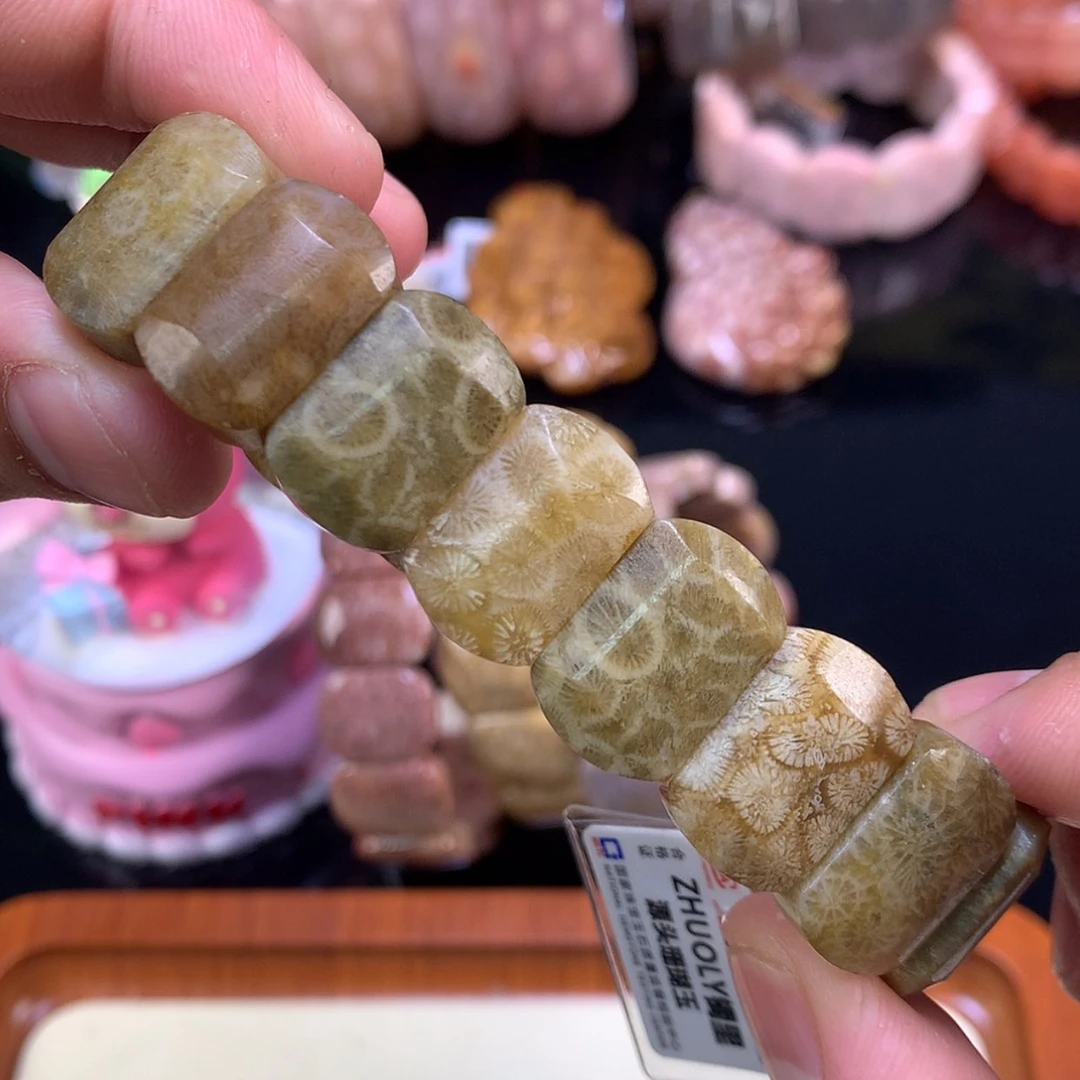 【闪购商品】颈饰未镶嵌硅化珊瑚（珊瑚玉）11号绿料哇噻！