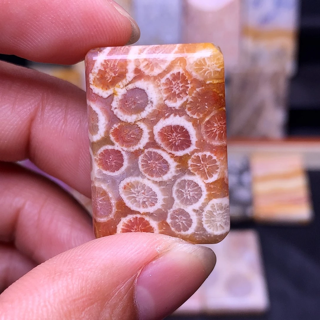 哈***嘛合金硅化珊瑚（珊瑚玉）珠宝奇石