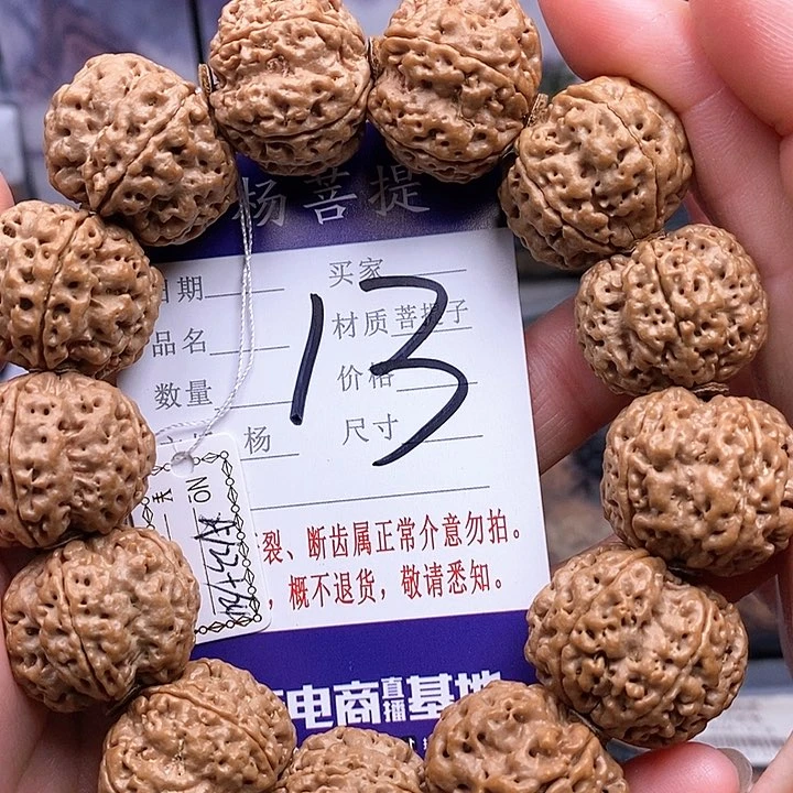 手串金刚菩提23.5/24双龙