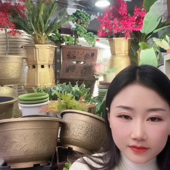 复合凤纹40盆10个45盆10个