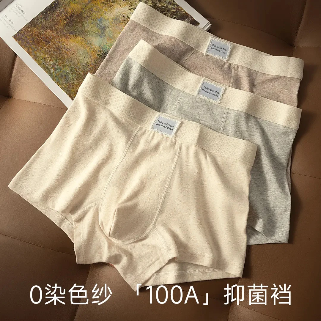 秋冬新款色纱棉质透气男士内裤男款潮流舒适100A抑菌档男生平角裤