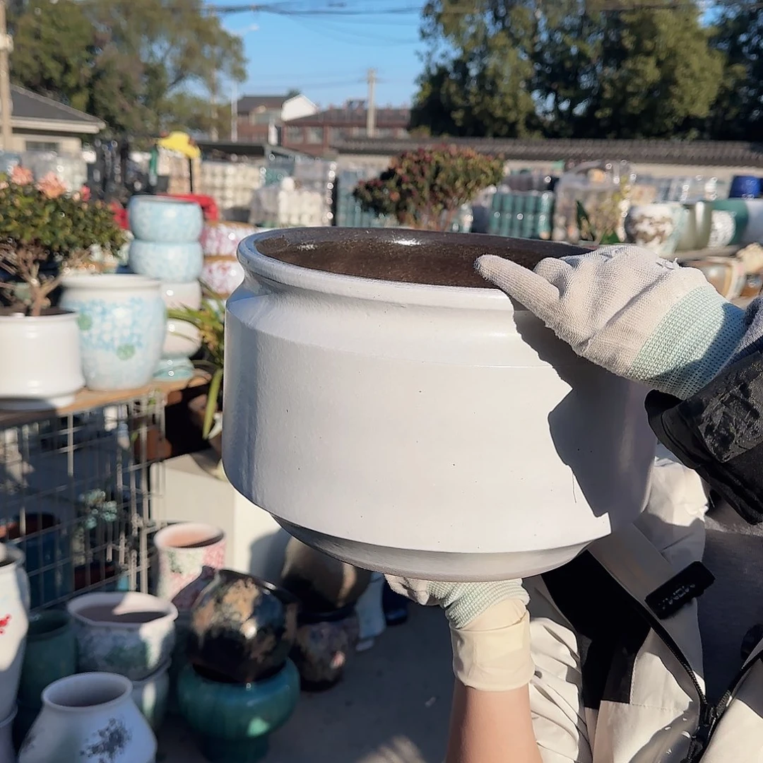 王嫂花盆直播1129-345高20口30