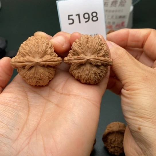 把件文玩核桃38白狮子5198