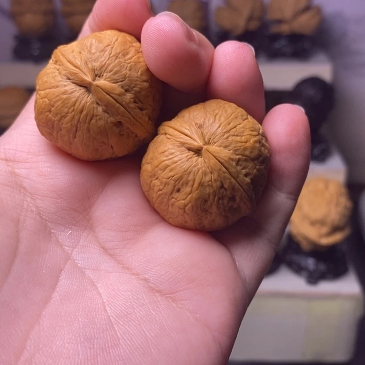 桃核把件粗筋蛇皮纹钢炮33尺t 5