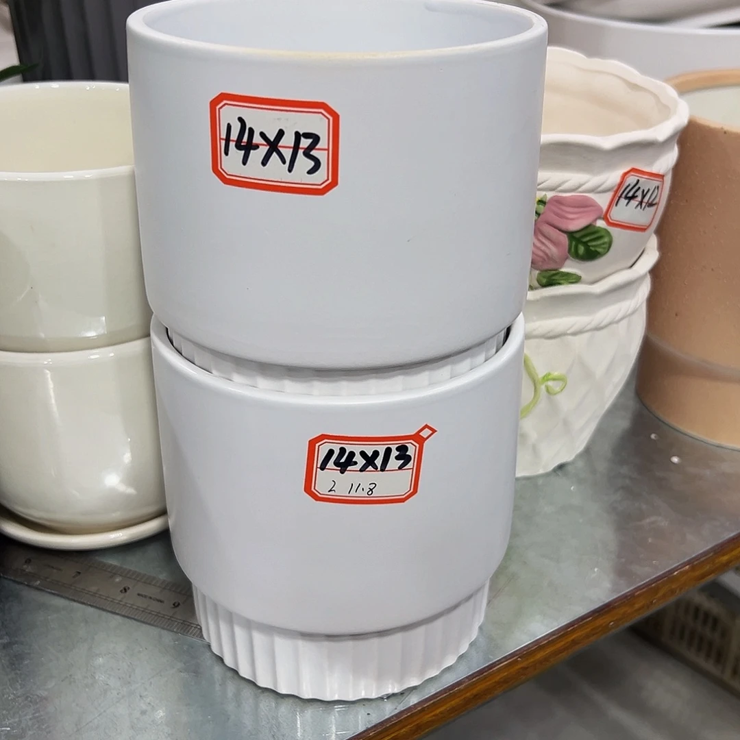 双***星无孔无孔无孔无孔无孔