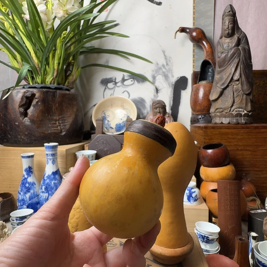 陶杯子哈哈哈哈哈哈哈哈哈哈哈哈哈