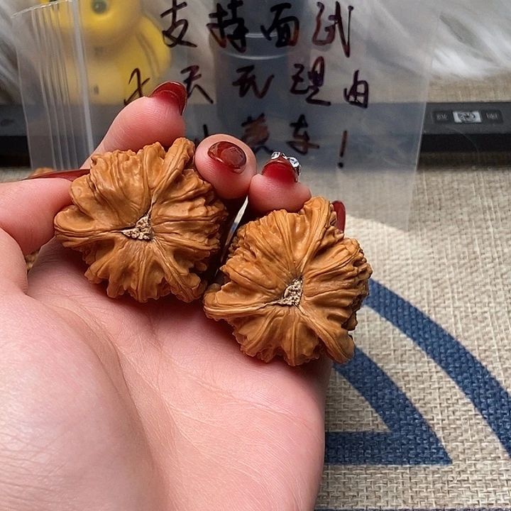文玩核桃把件命**定白狮子正奔