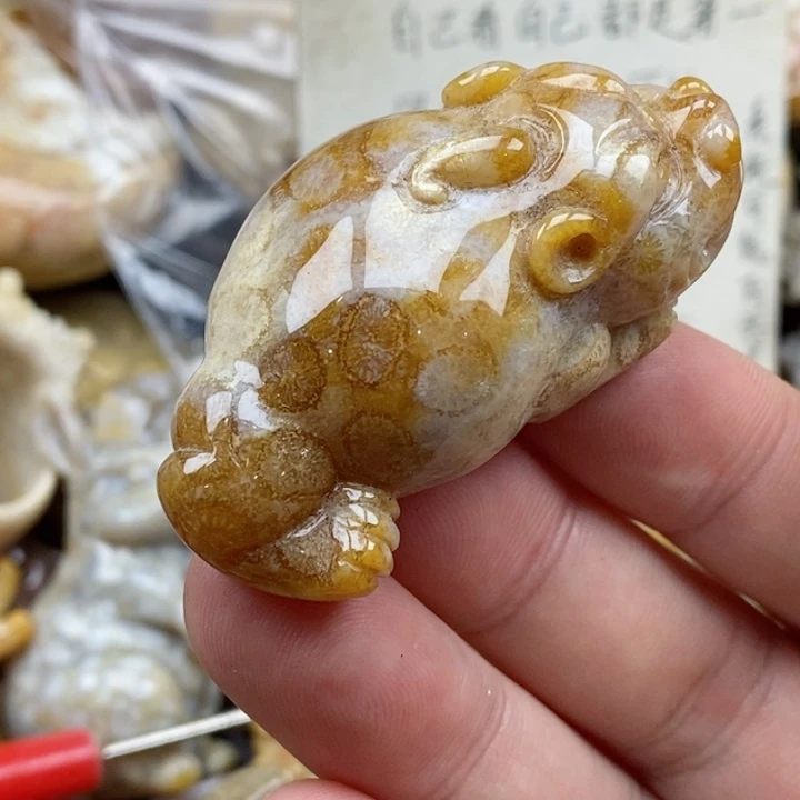 硅化珊瑚（珊瑚玉）未镶嵌颈饰