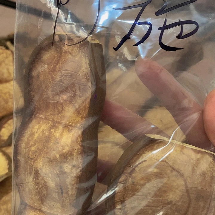 Y***施菩提根/象牙果吊坠豆荚
