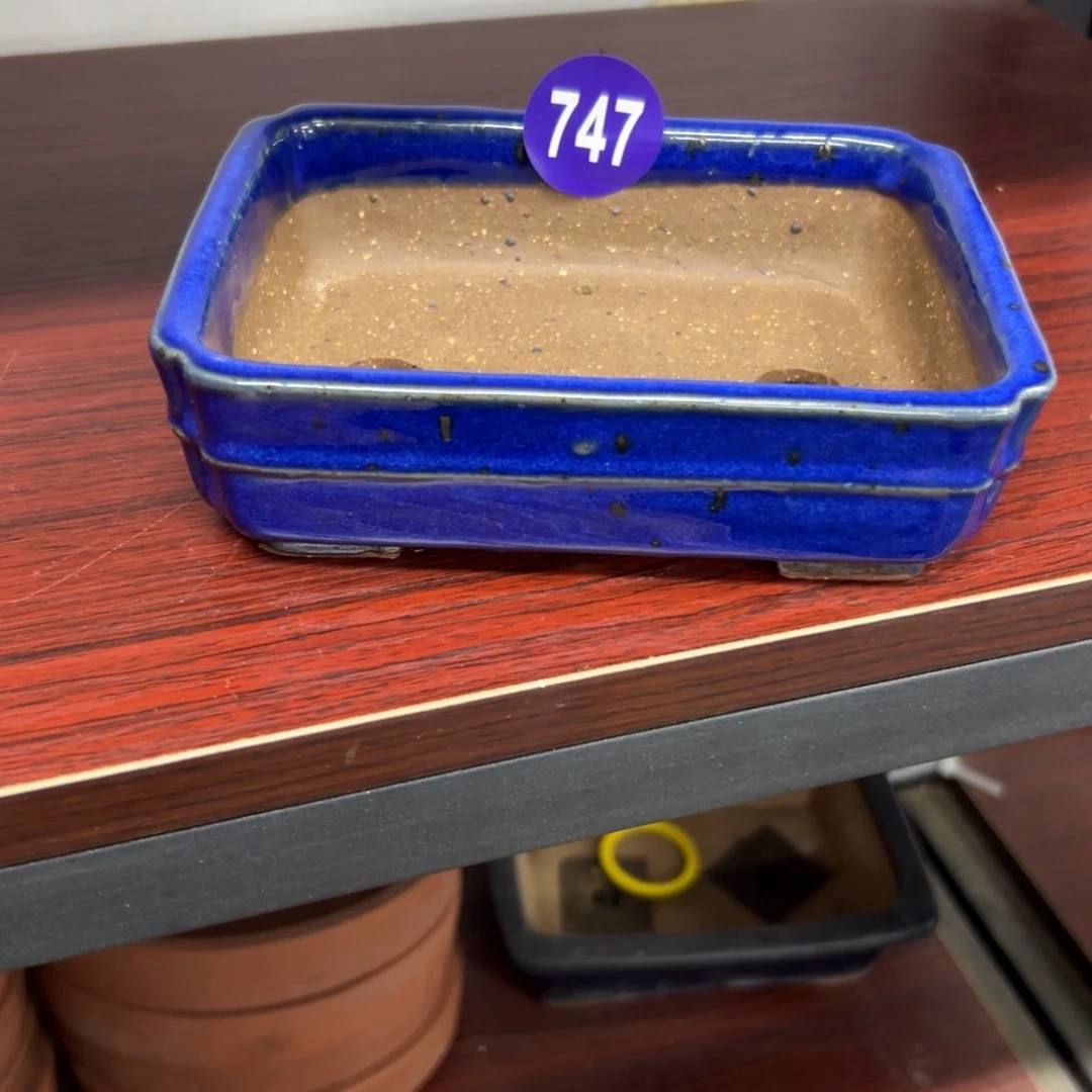 红陶老*红红火火过大年747