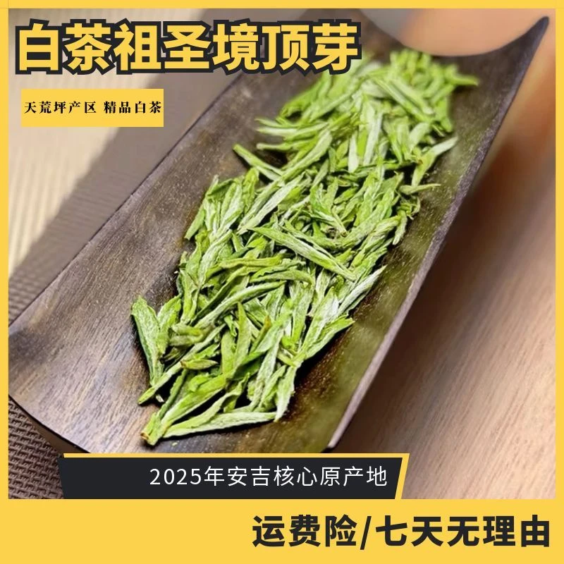 【白茶祖圣境顶芽】2025年天荒坪产区精品顶芽