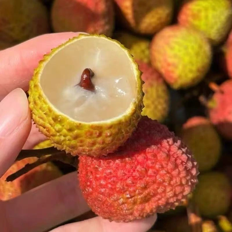 B3【冷链发货】荔枝妃子笑新鲜当季果现采现发云仓多仓发货