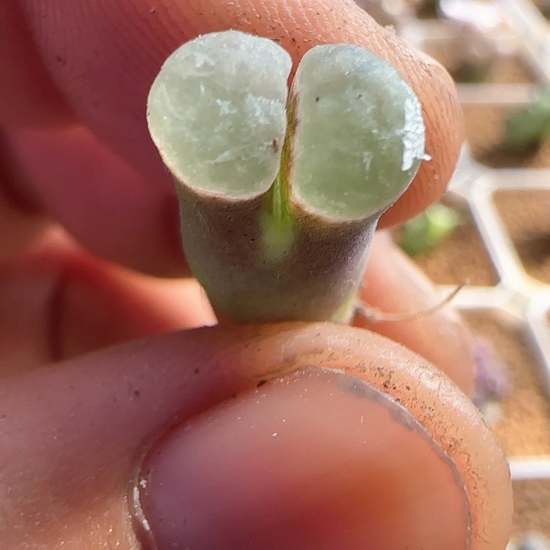 大***儿哈哈哈哈哈哈哈53673