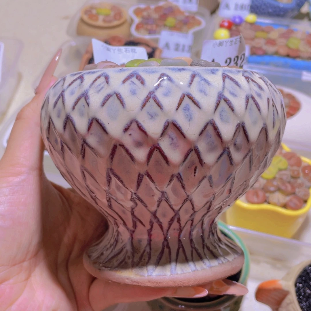 鱼尾花盆232。。。。。。。。开播后