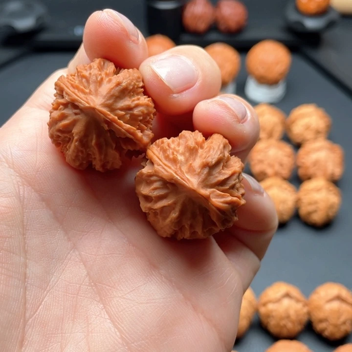 文玩核桃把件霸王龙小粗筋