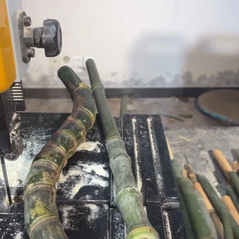 竹木**爷实心竹竹竹竹竹竹竹竹