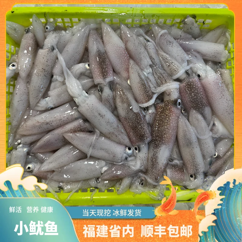 福建船捕【灯光鱿鱼】冻品没有售后！建议不要拍
