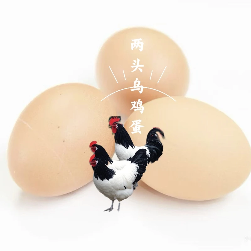 农家散养新鲜两头乌鸡蛋大个富硒营养土鸡蛋每日现捡健康美味
