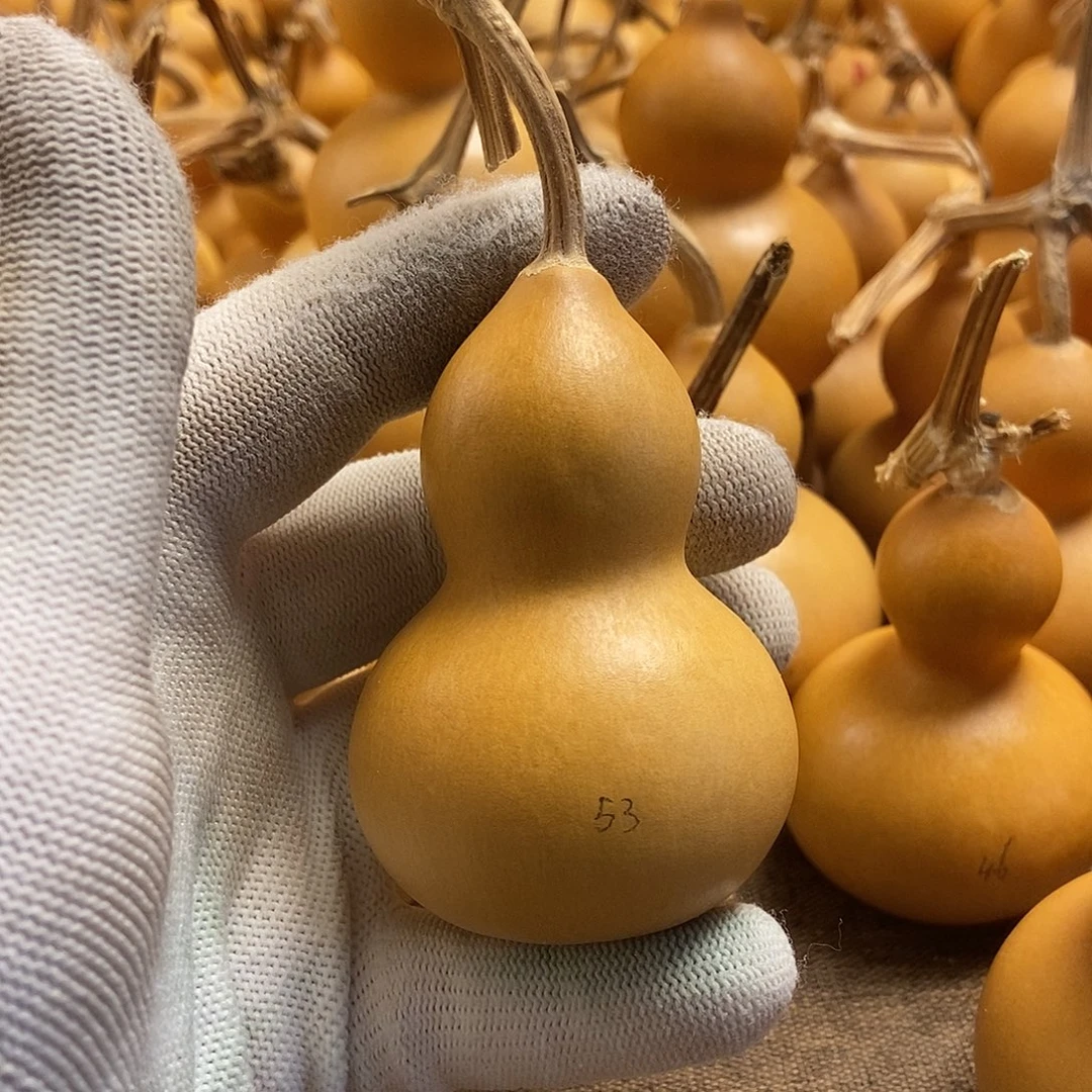 文玩葫芦 完美主义 慎拍53