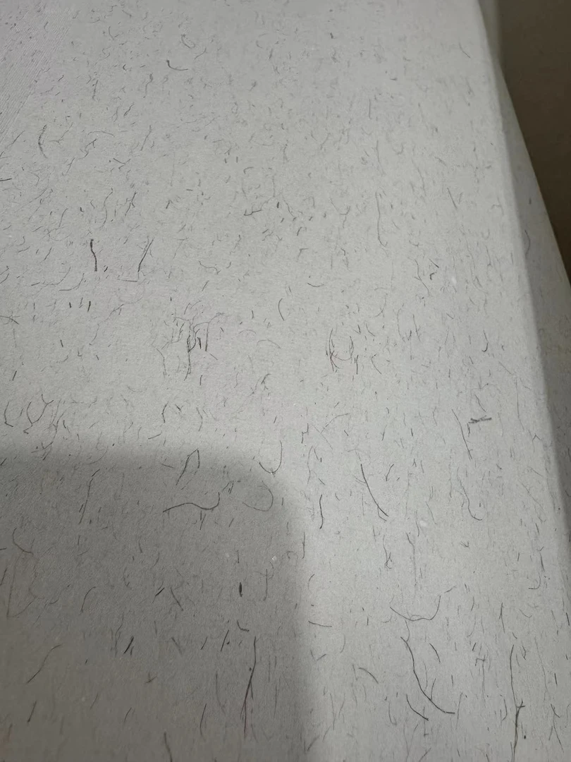 S【33】四尺  青丝竹檀麻宣  加厚生宣