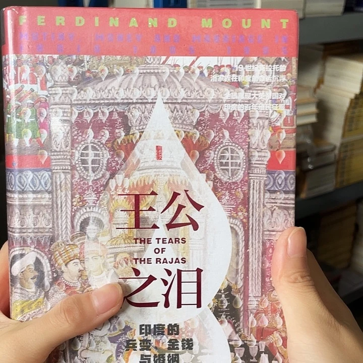 王公之泪：微瑕图书