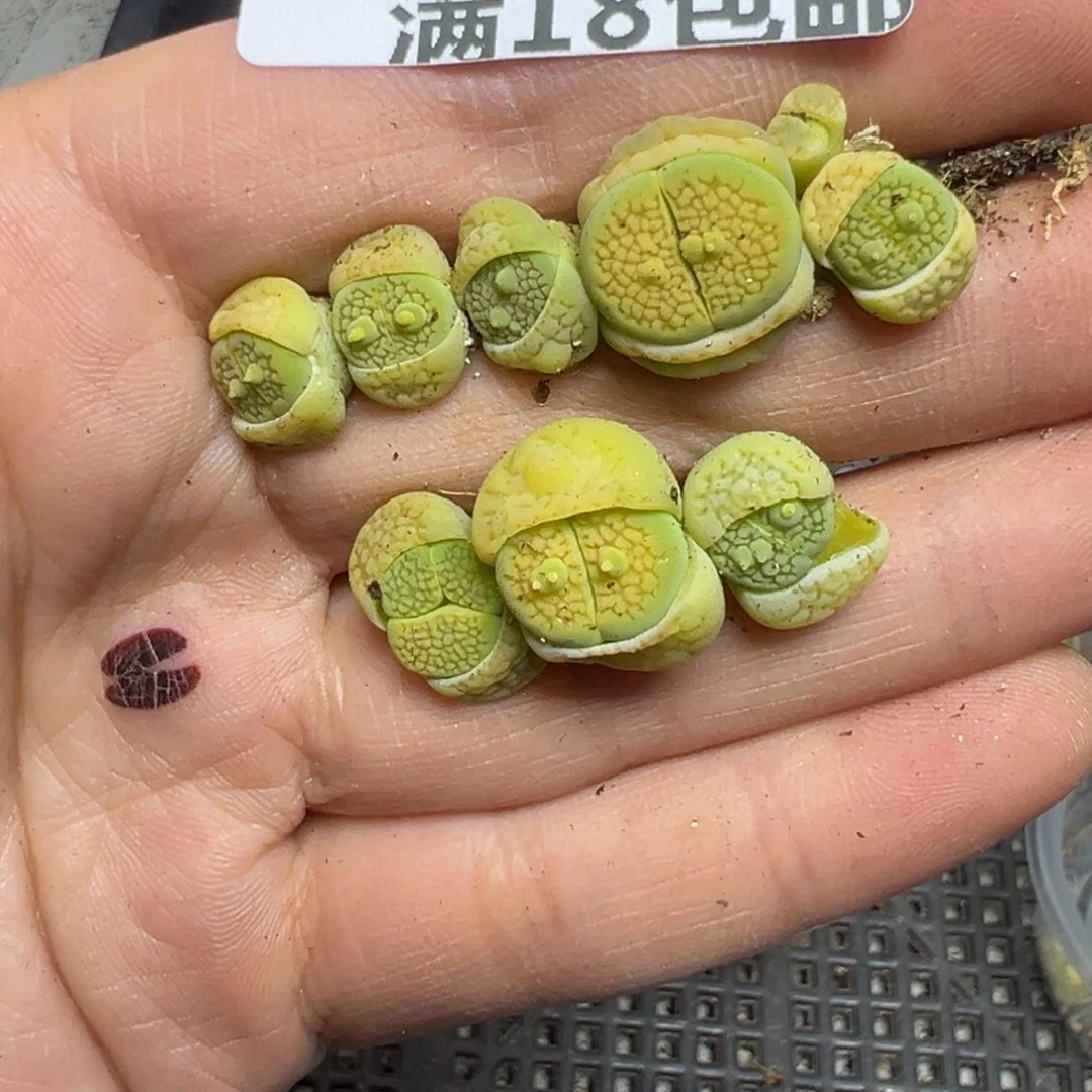 【闪购商品】400。。