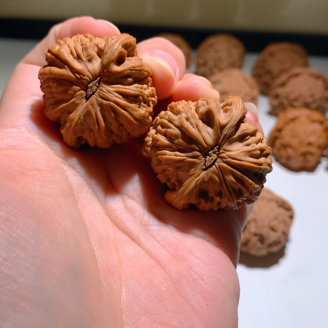 把件文玩核桃꙳****?白狮子35尺