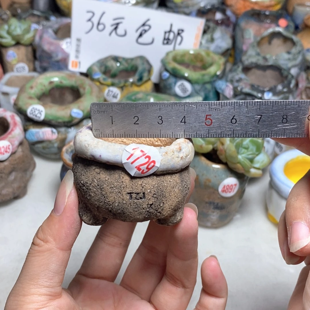 拍3送一个小礼物