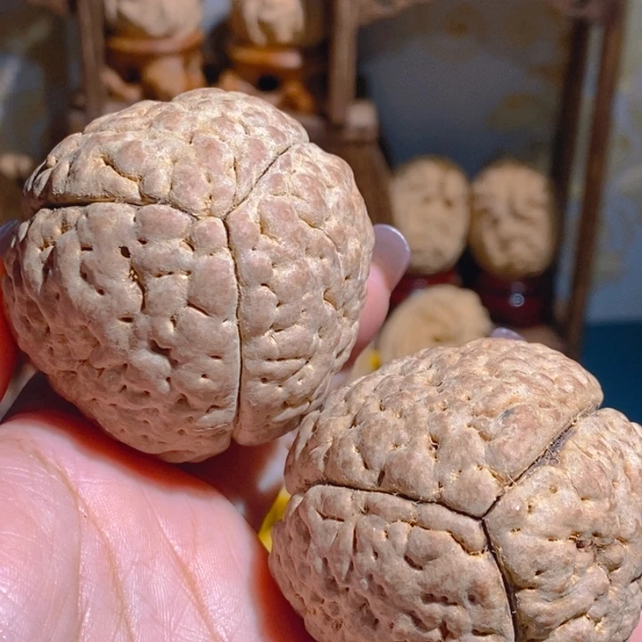 野生三瓣脑纹大金刚5163