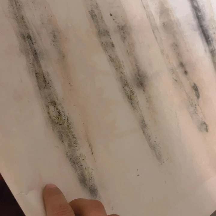 杂色豆（科檀/科特迪瓦檀木）大**雁