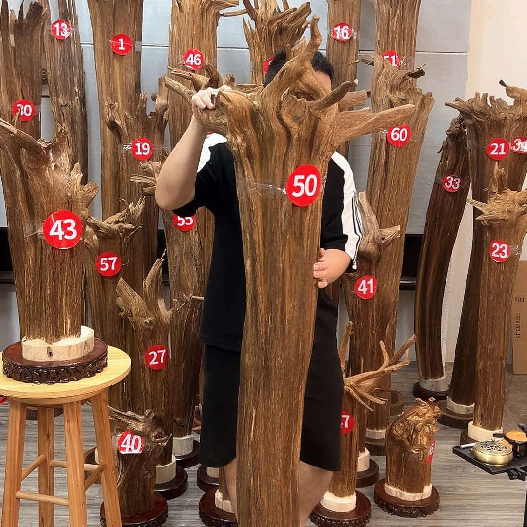 沉香沉香碎屑阿*沉香