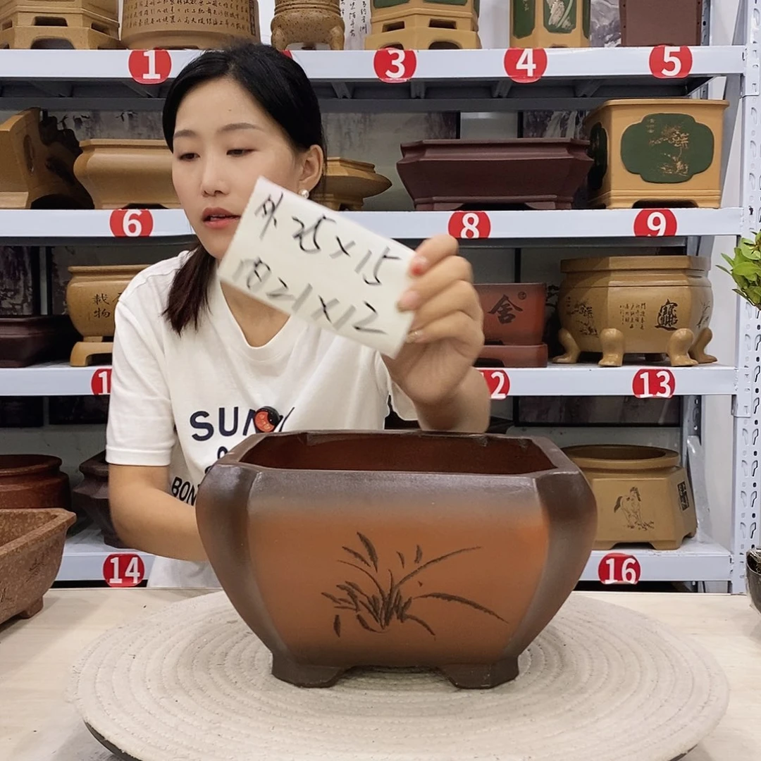 紫砂花盆紫砂花盆