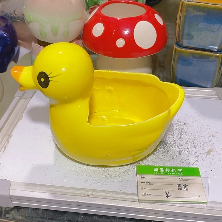 摆件多肉瑕疵盆有孔。