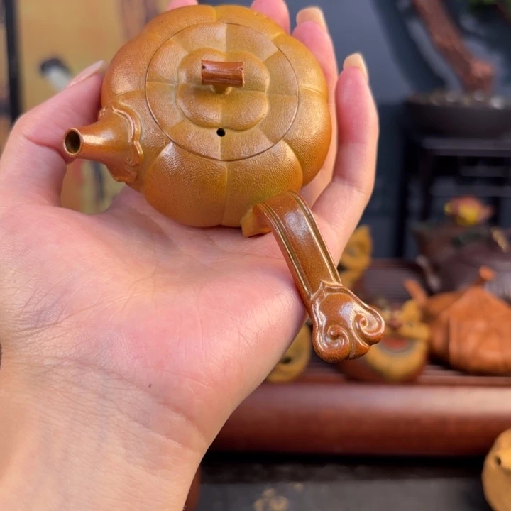 不过现在在学校还挺好玩