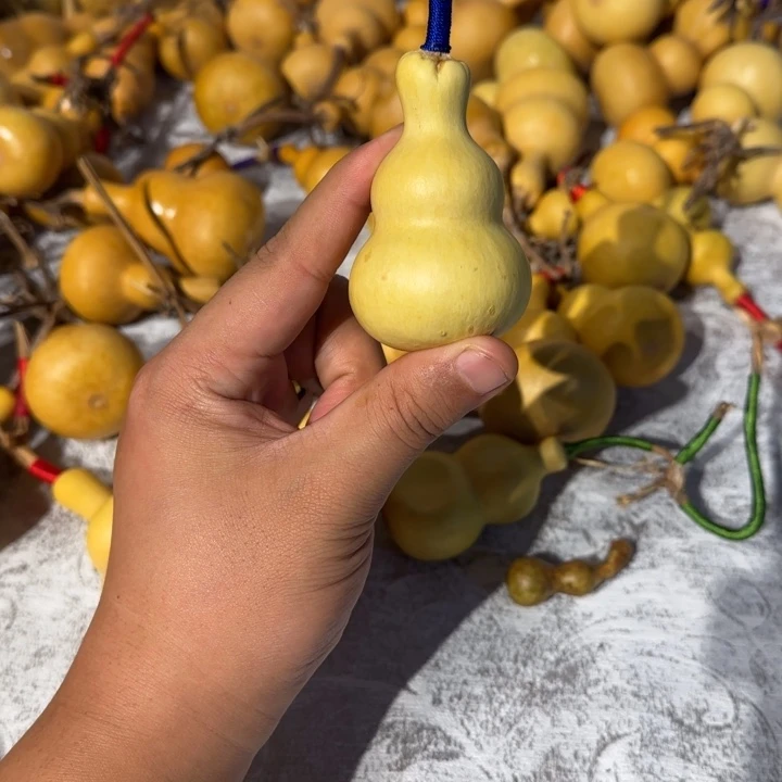 气***哼感谢大哥支持兄弟