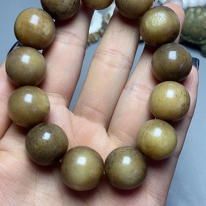 大果紫檀（缅甸花梨）