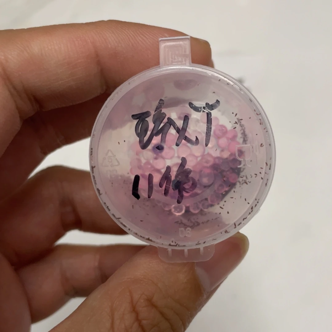 珍妮雪兔20粒，新品推荐