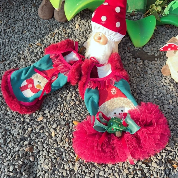 萌宠国风红色圣诞加绒公主裙 小熊泡沫宠物服饰原创