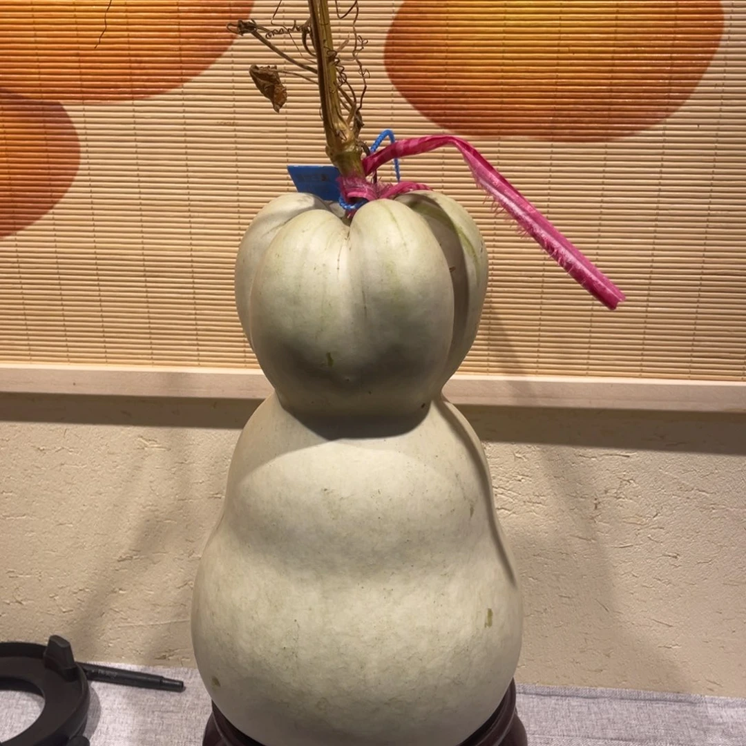 王***杰仿木不包邮不保龙头
