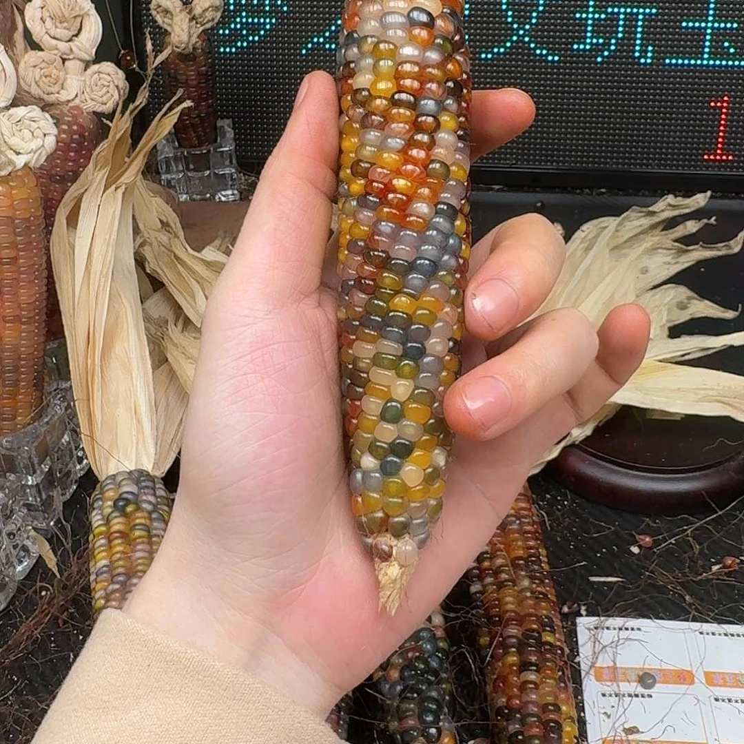 柏香籽/百香籽吊坠柚***檬