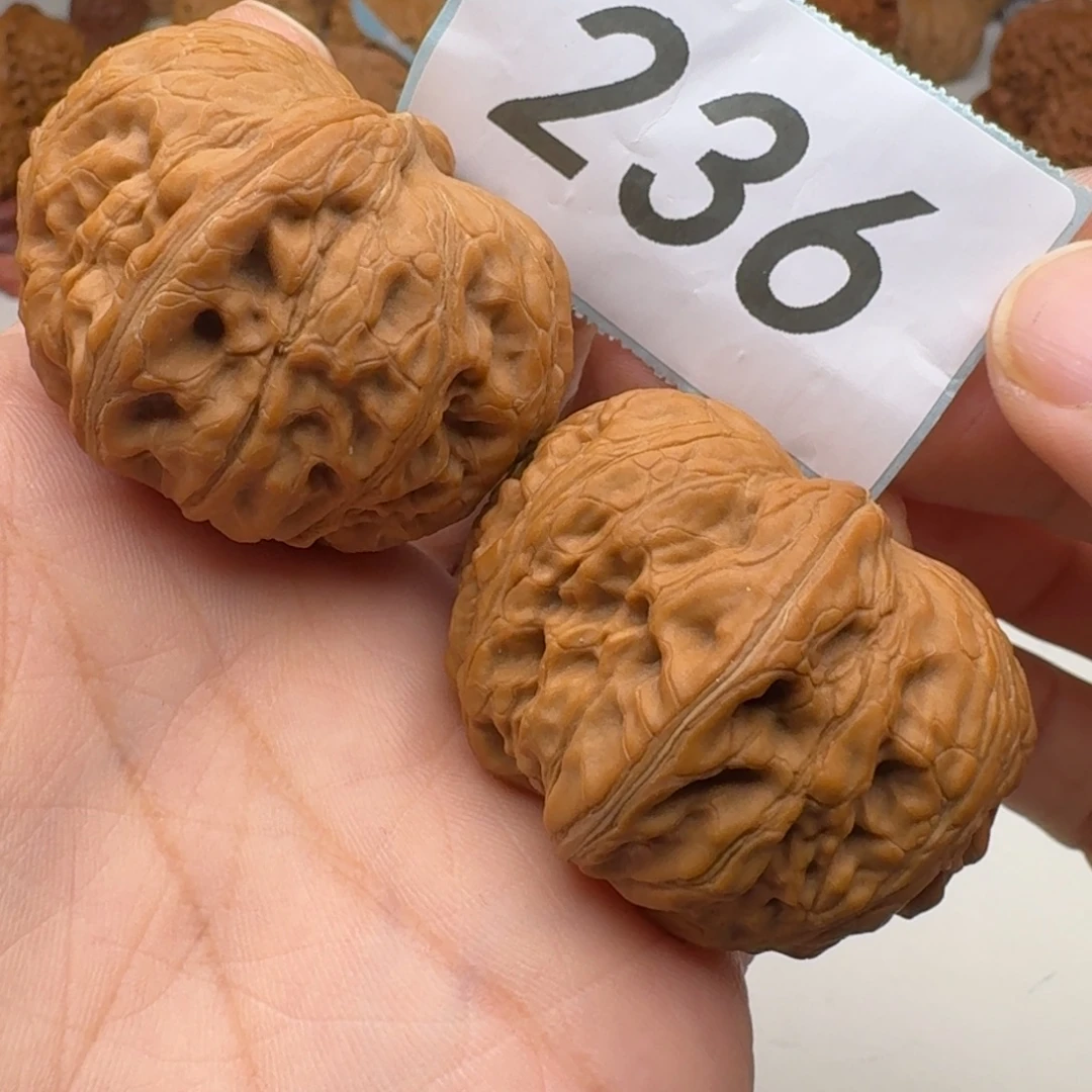 拿***森把件文玩核桃元宝 44 黄尖