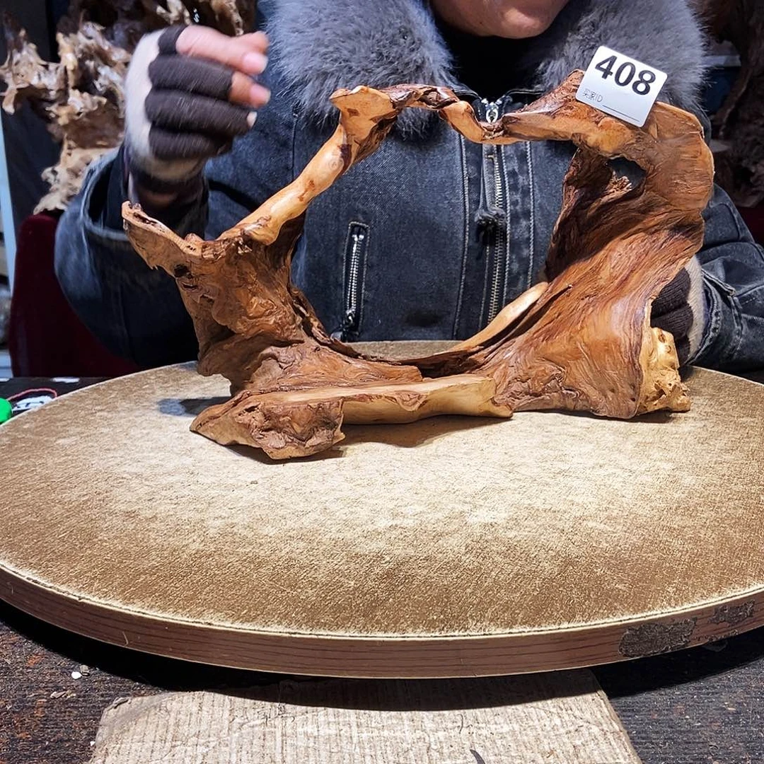 于***炀408。红杉根随行根艺