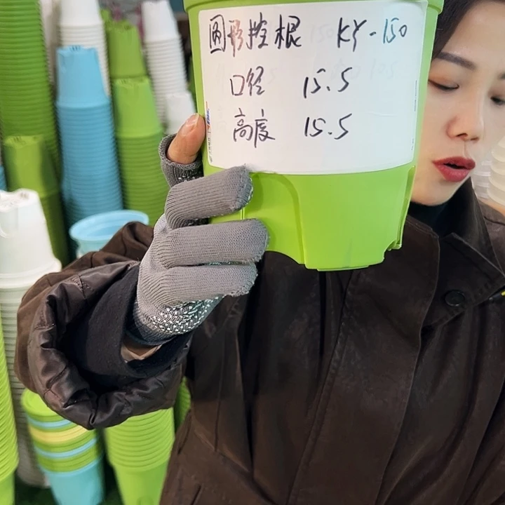 正品圆控口15高15果绿无托10只