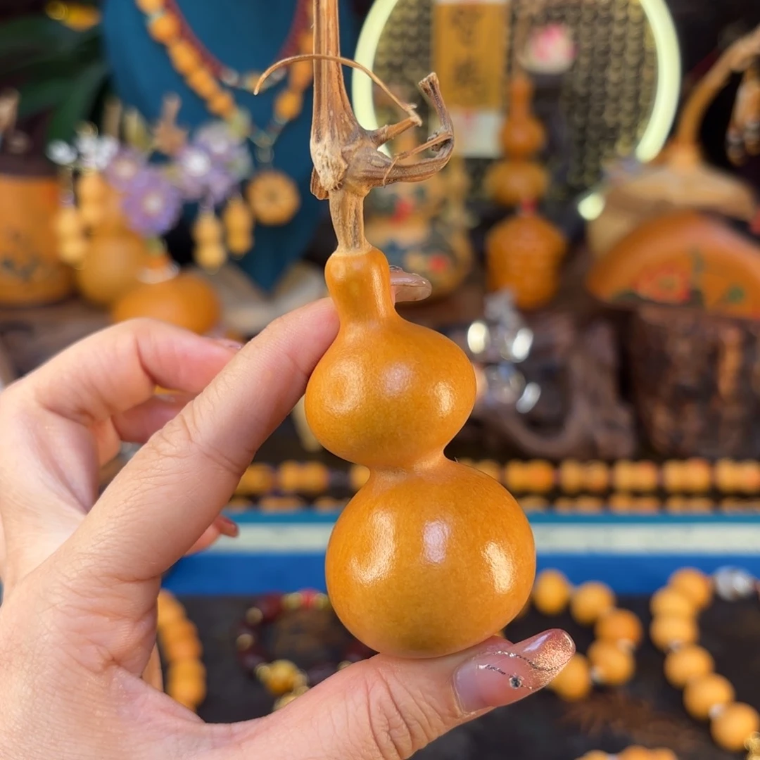 我们的生活也是如此的丰富多彩