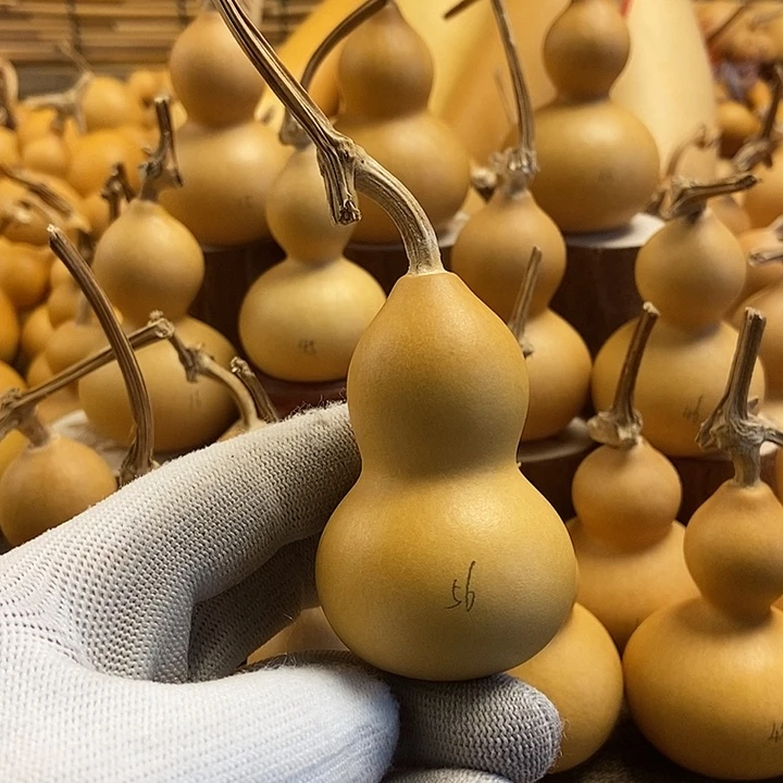 文玩葫芦 完美主义者 慎拍56