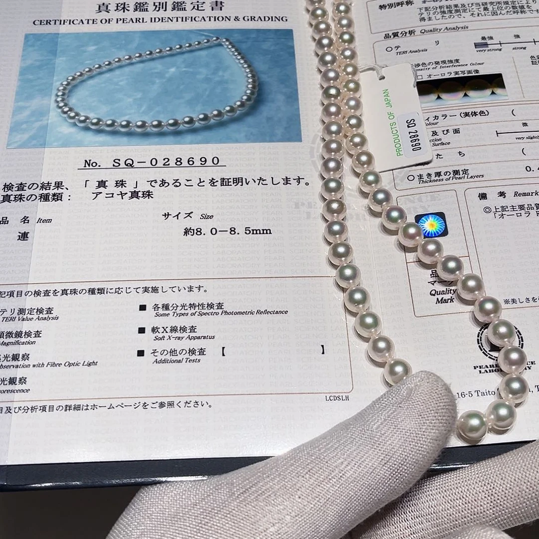 未镶嵌海水珍珠耳饰
