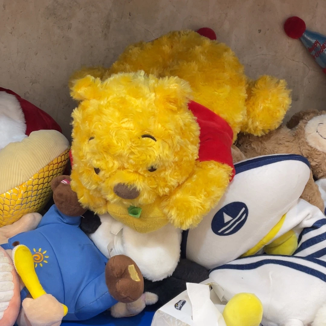 毛绒56500000000000