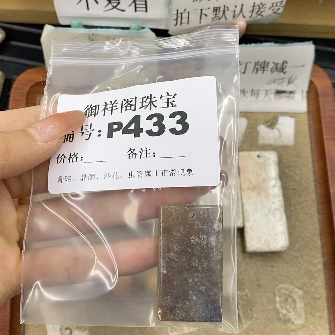 硅化珊瑚（珊瑚玉）未镶嵌颈饰R*
