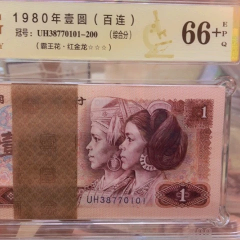 塑料38770101百连红金龙—————