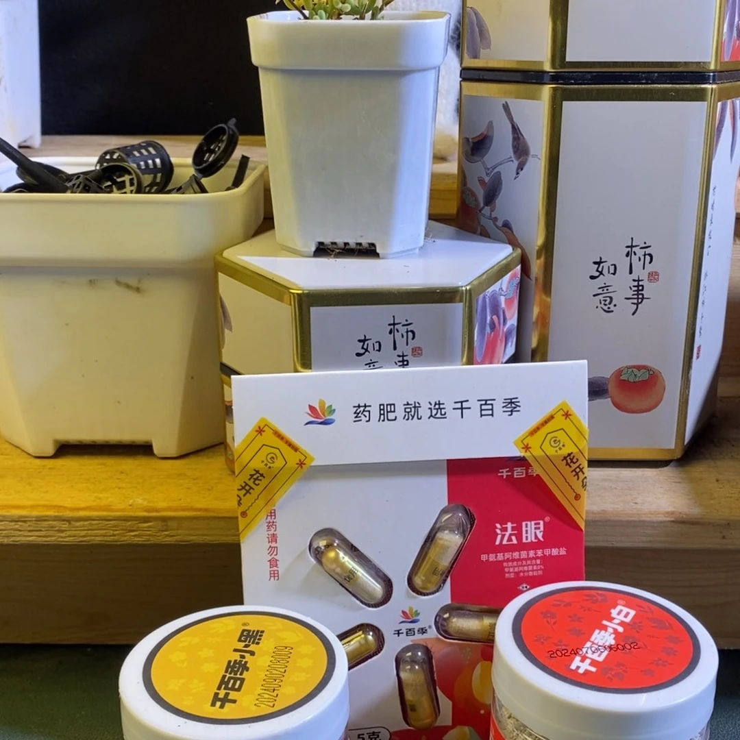 如****意枝干番杏多肉植物积分兑换（如意如意按我心意）